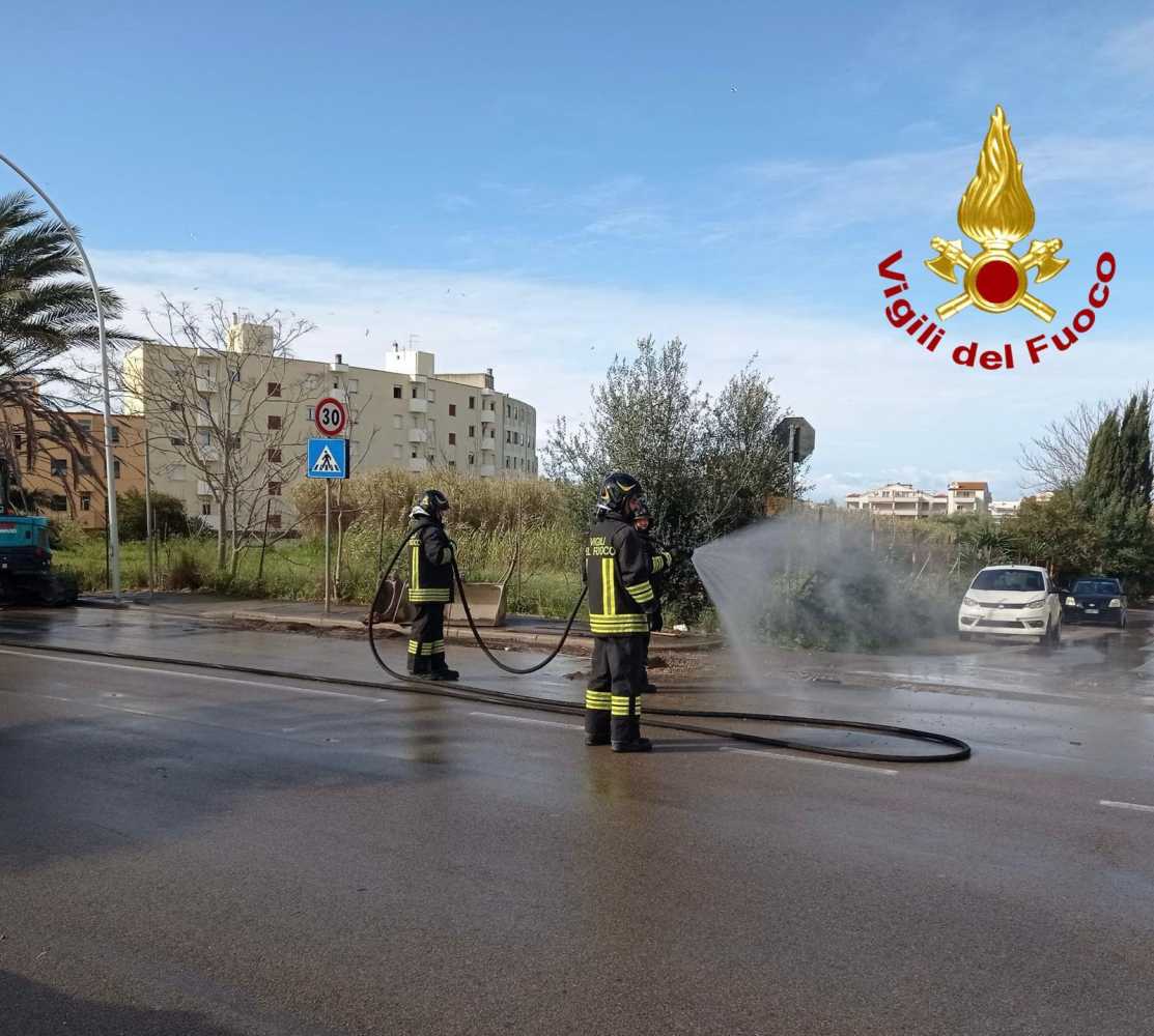 WhatsApp-Image-2025-03-17-at-172249