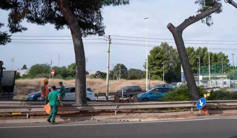 Viale-campioni-ditalia