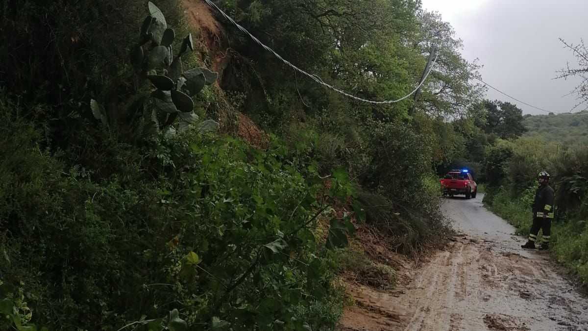 WhatsApp-Image-2025-04-17-at-181127