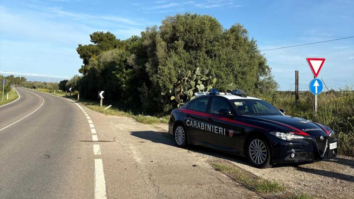 WhatsApp-Image-2025-04-19-at-100738-1