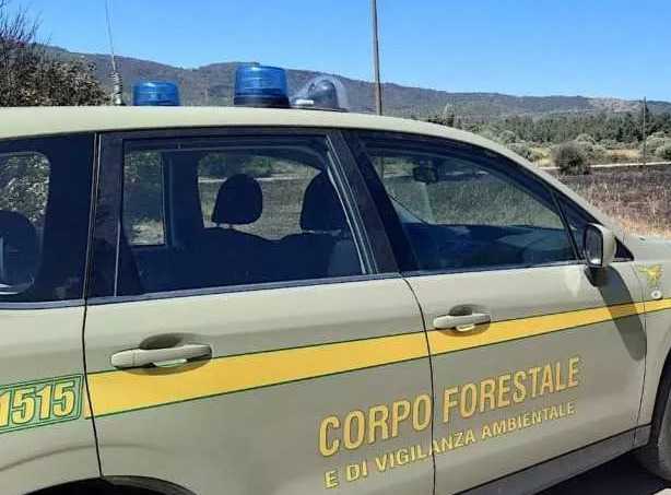 corpo-forestale
