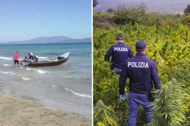 Sbarchi E Archivio Droga sbarchi-e-archivio-droga-