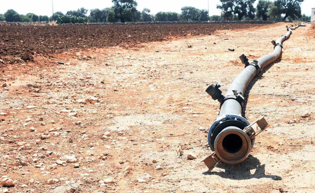 Siccit Agricoktura siccit-agricoktura