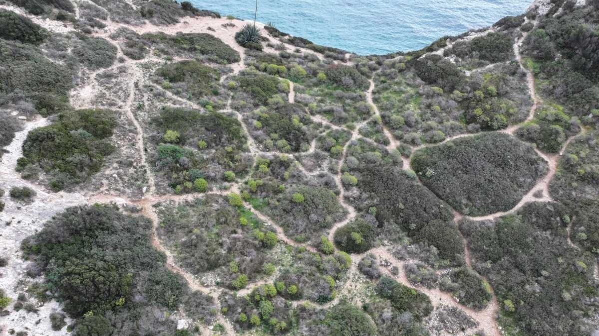 54503617385d9a6a06acbo