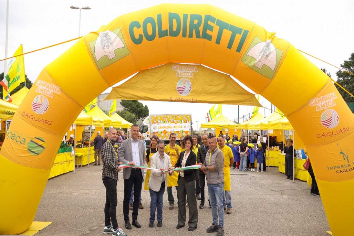 Campagna-Amica-in-via-Toti