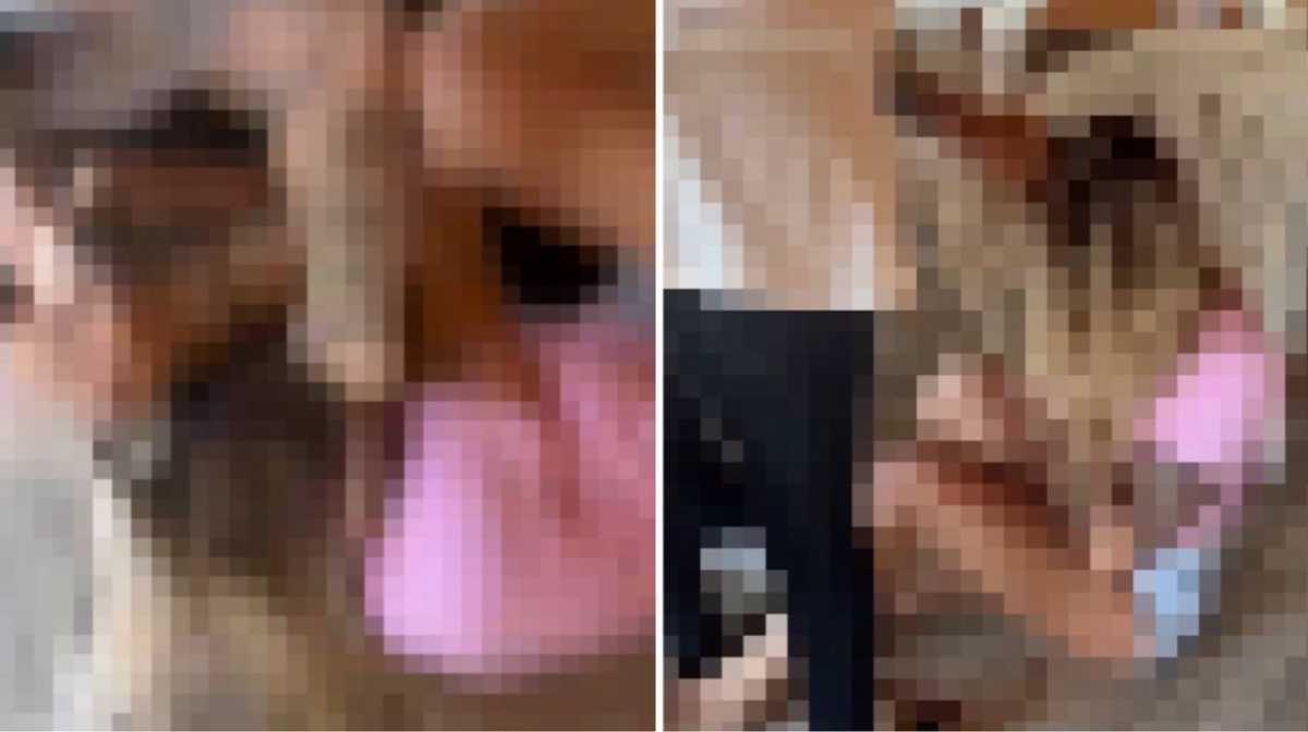 aggressione-cagliari-ragazza