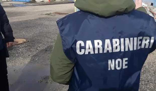 685a4f5f949d9 cc-assemini