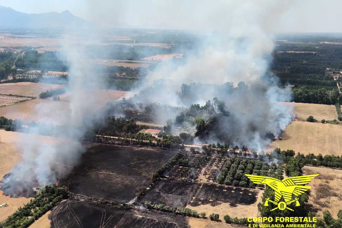 Photo1749908704655 Photo1749908704655