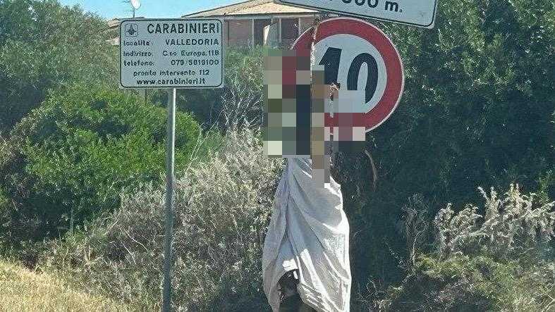 animale-impiccato-valledoria