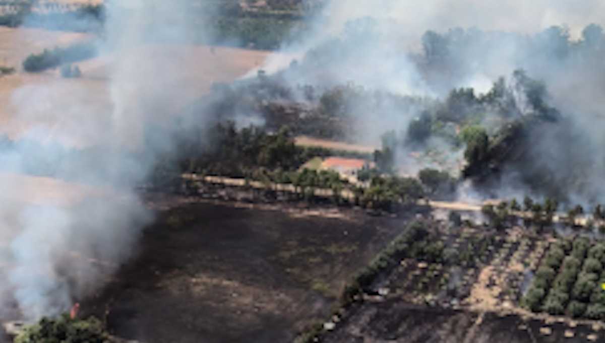incendi-campi-sardegna