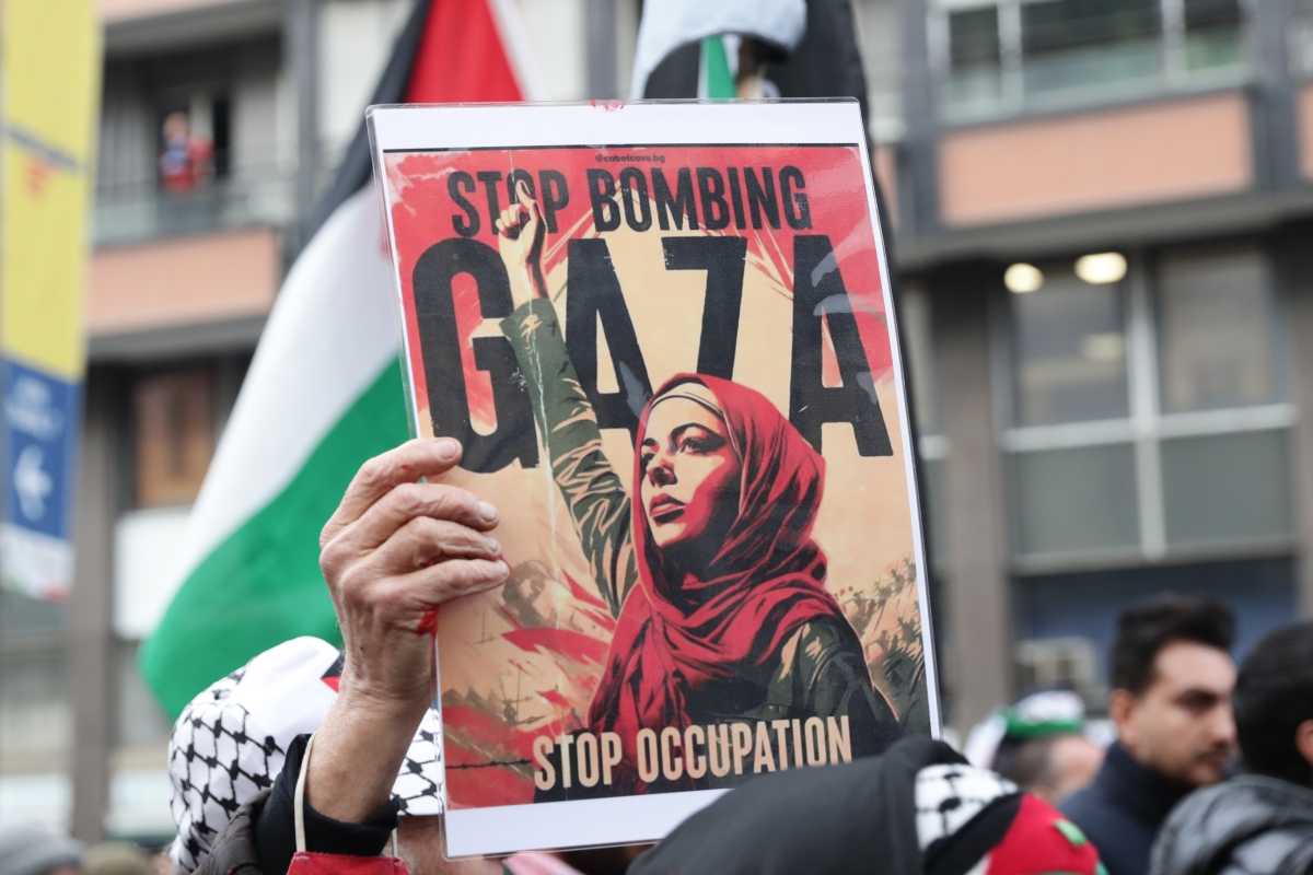 Stop Gaza stop-gaza