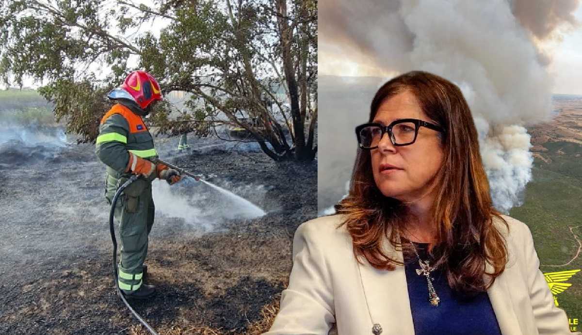 ALESSANDRA-TODDE-INCENDI