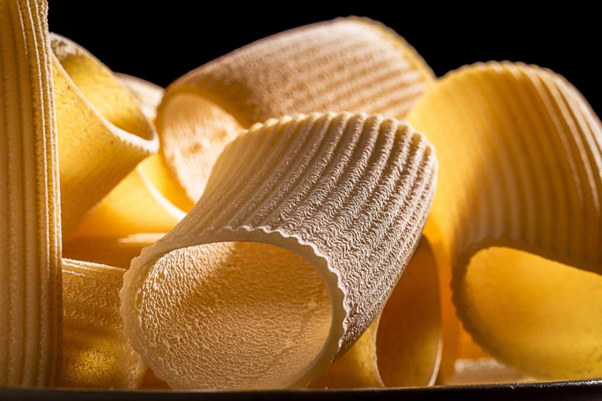 Cellinopasta Cellinopasta