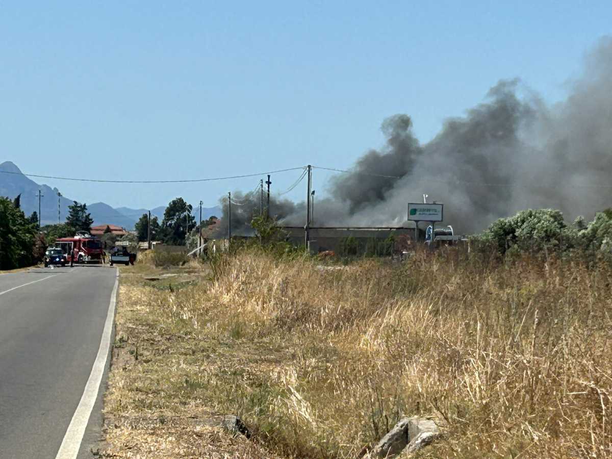 WhatsApp-Image-2025-07-12-at-145408