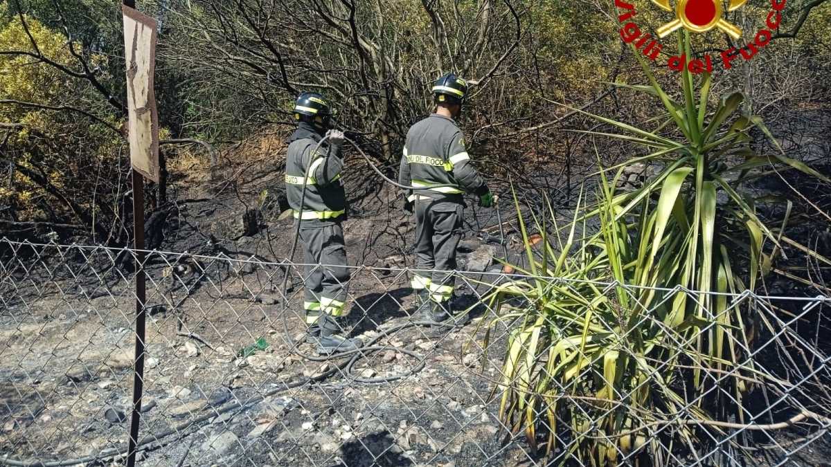 WhatsApp Image 2025 07 23 At 172631 WhatsApp-Image-2025-07-23-at-172631