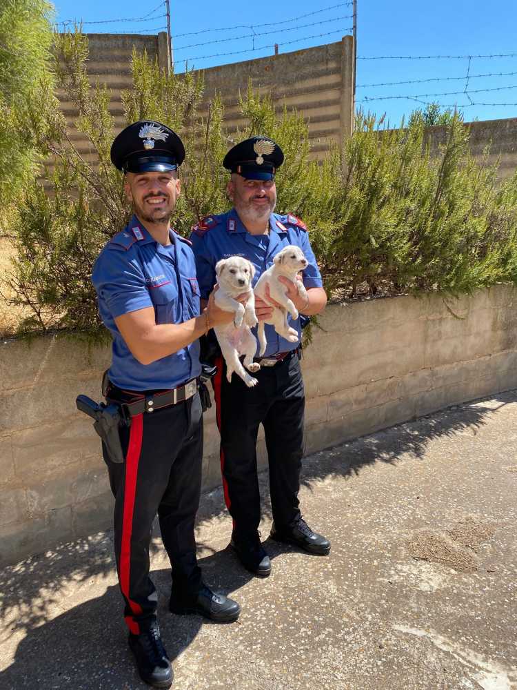 WhatsApp-Image-2025-08-01-at-143808