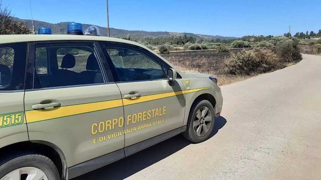 corpo-forestale