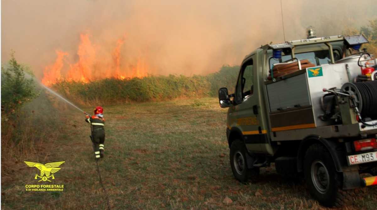 incendio-corpoforestale-