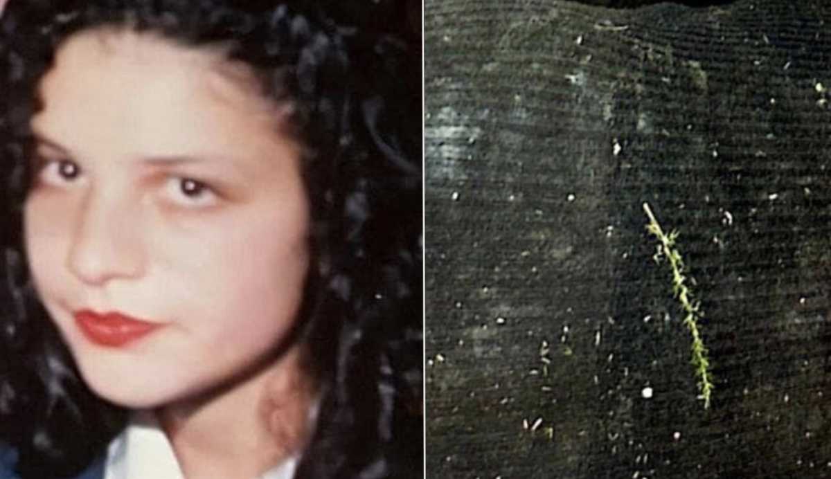 manuela-murgia-vestiti-incidente-probatorio