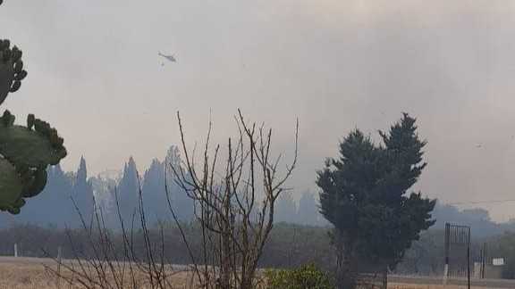 Photo5771531358663985226y photo5771531358663985226y