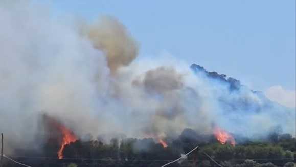 photo5783182973577842276y