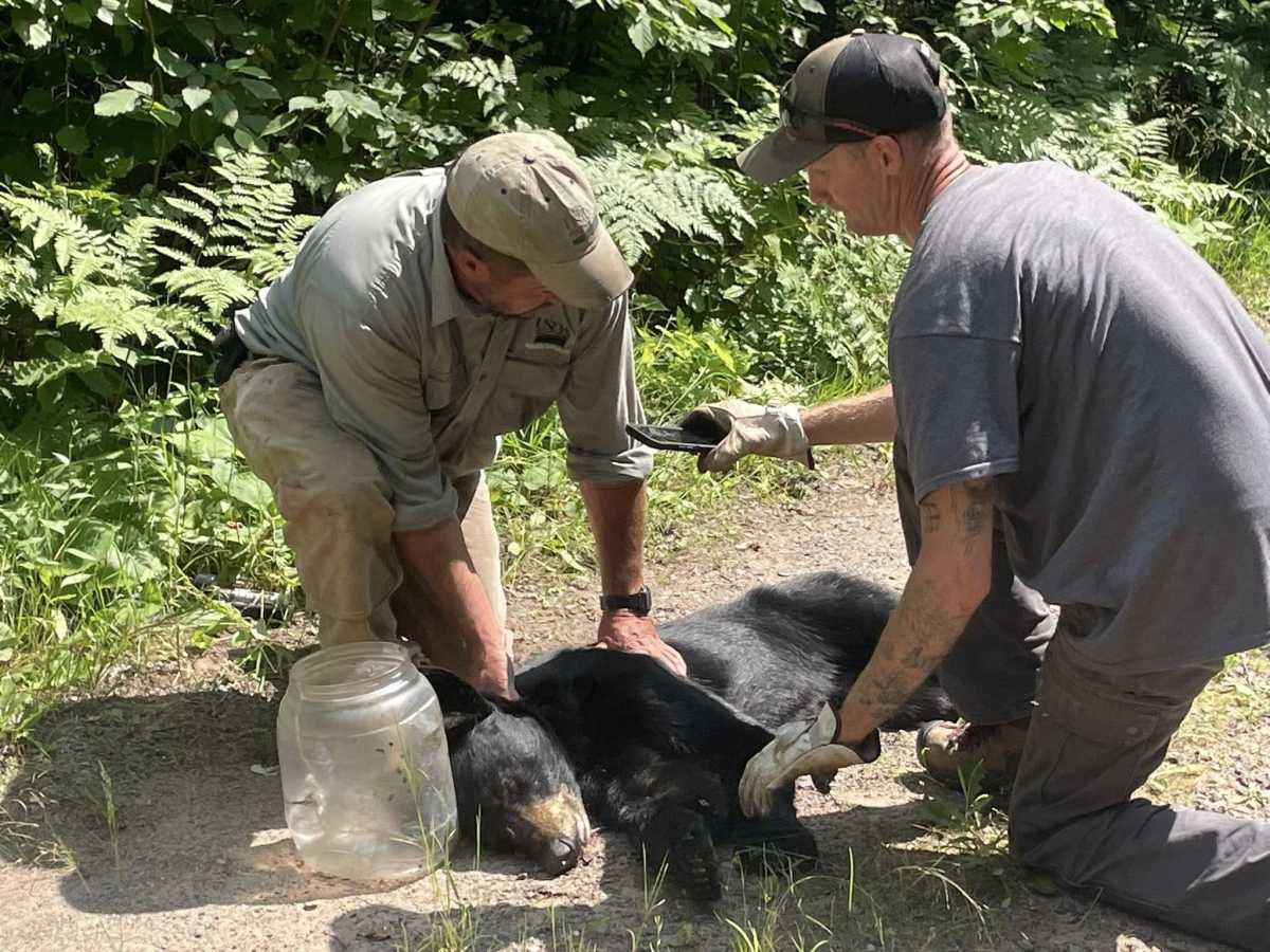 526950694101722122366552498183454446020783639n