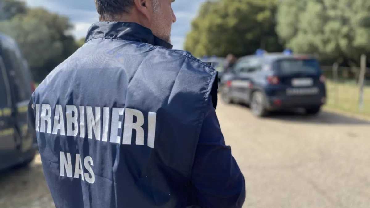 Carabinieri-nas