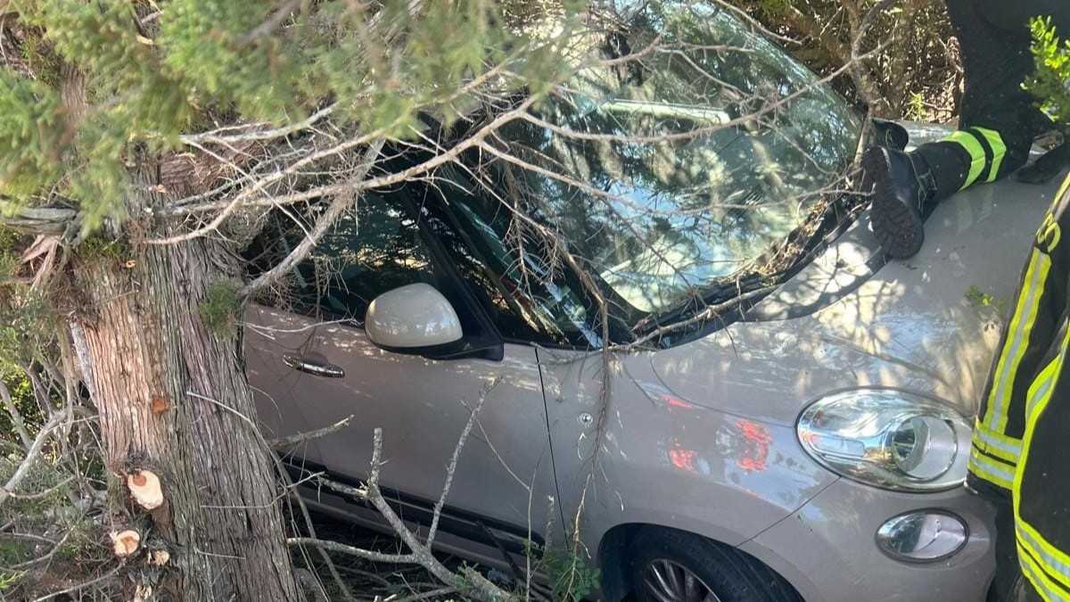 WhatsApp Image 2025 08 02 At 172139 WhatsApp-Image-2025-08-02-at-172139