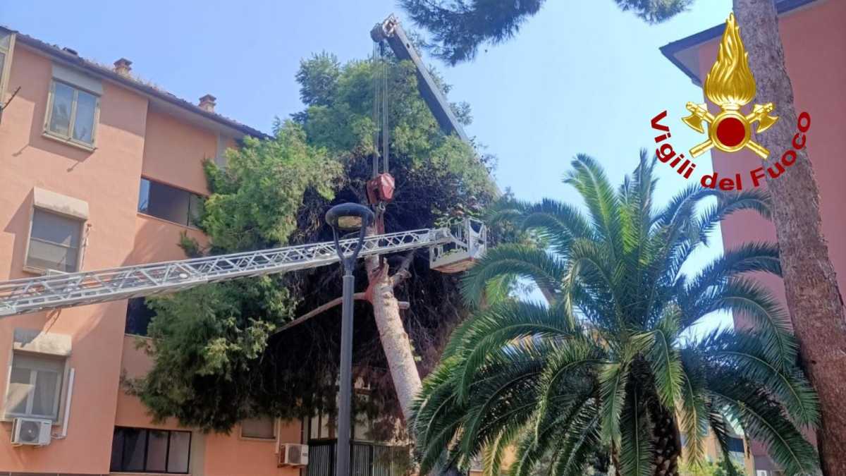 WhatsApp Image 2025 08 13 At 184634 WhatsApp-Image-2025-08-13-at-184634