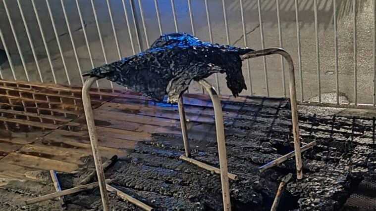 WhatsApp-Image-2025-08-18-at-112633-1