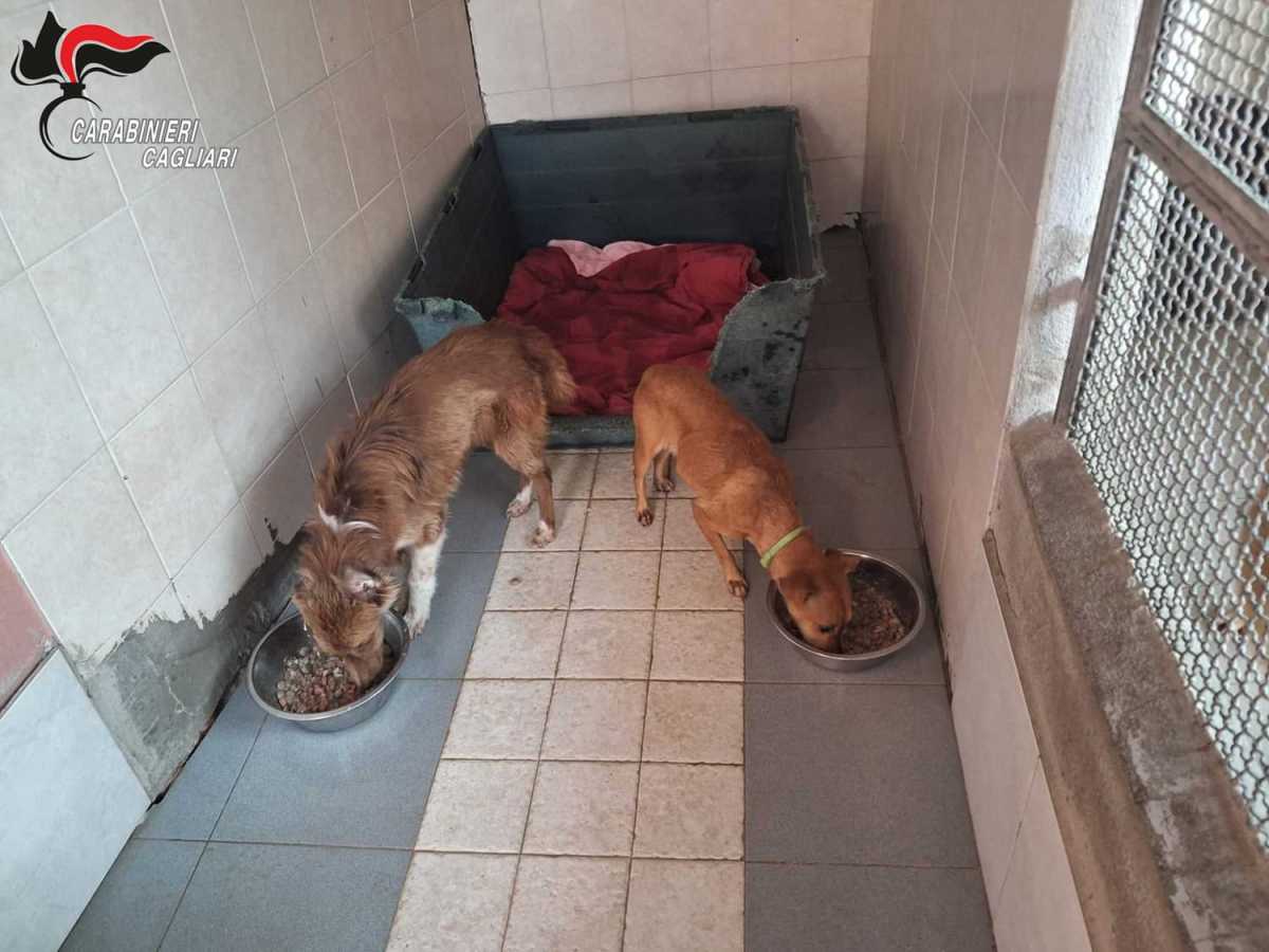 WhatsApp-Image-2025-08-20-at-085653