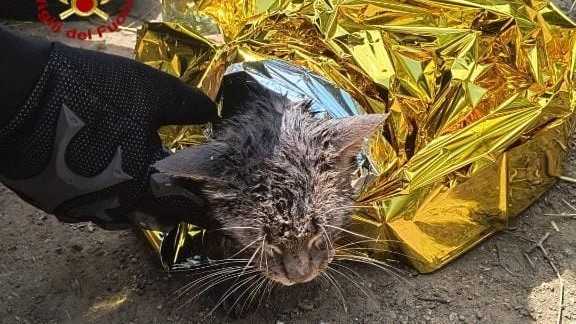 WhatsApp-Image-2025-08-29-at-165213