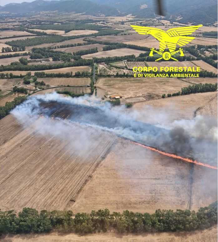 Barega 27825 barega-27825