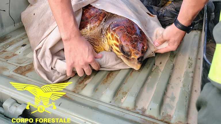 54779627697041f7cf4a1b