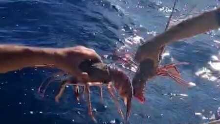 54779630652ba0ace9f30c 54779630652ba0ace9f30c