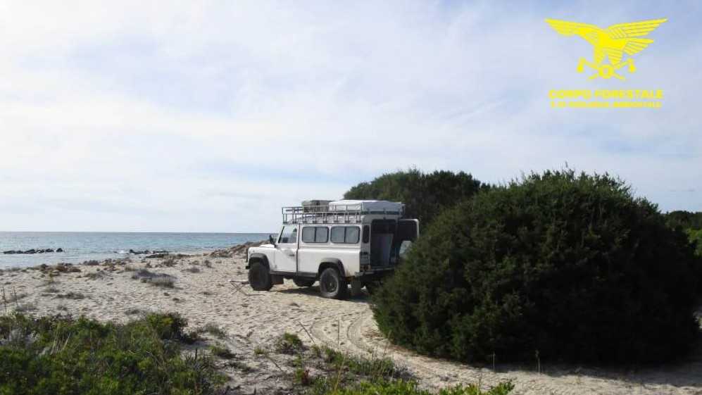 Mezzosulleduneconlogo