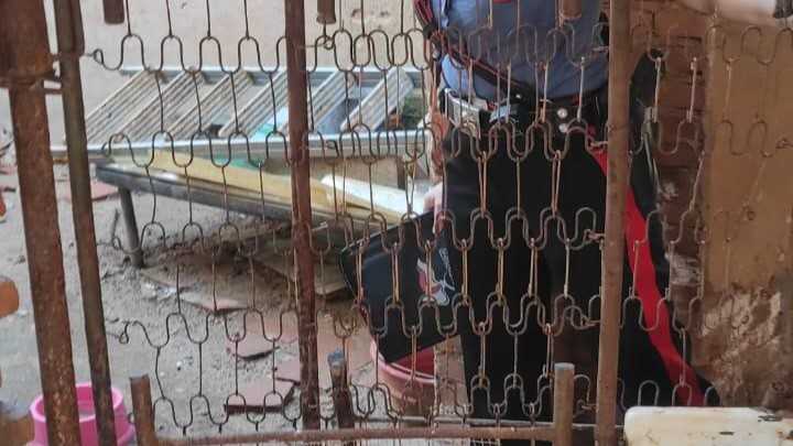 WhatsApp Image 2025 09 12 At 120259 WhatsApp-Image-2025-09-12-at-120259