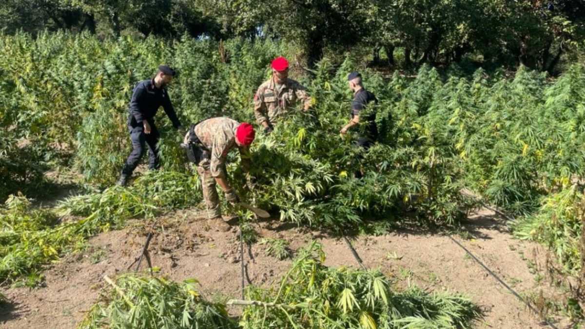 WhatsApp-Image-2025-09-19-at-143436-1