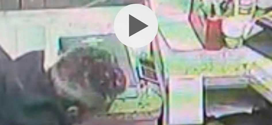 Furto In Pizzeria Selargius furto-in-pizzeria-Selargius