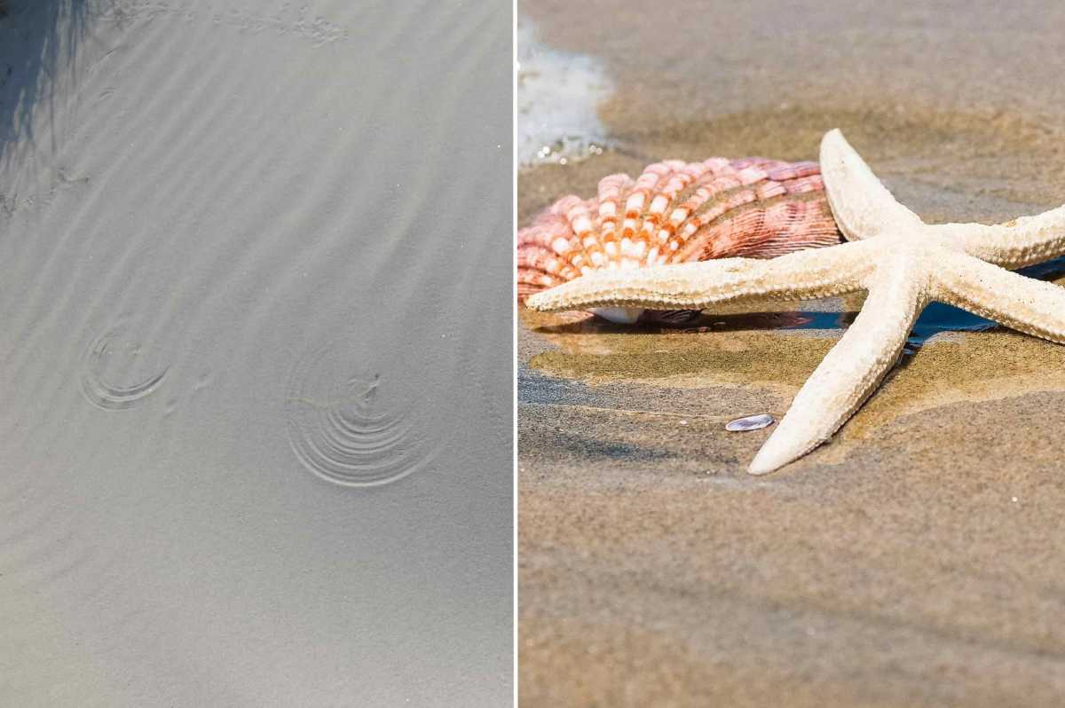 sabbia-conchiglia-e-stella
