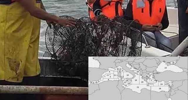 Pesca Stop Pesca-stop