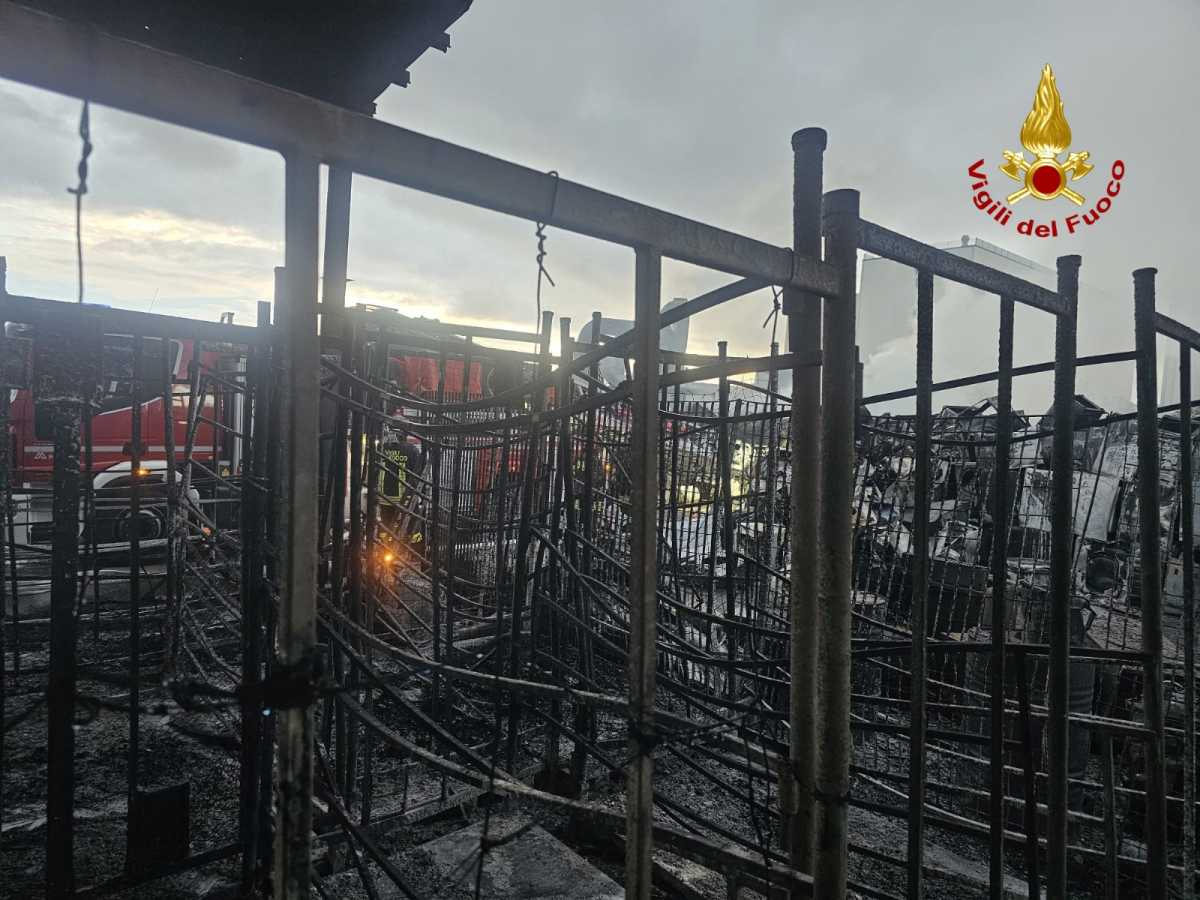 WhatsApp-Image-2025-10-31-at-095345