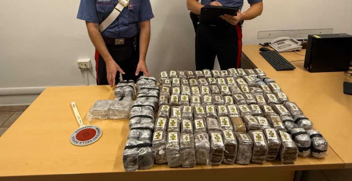 panetti-hashish-quercia