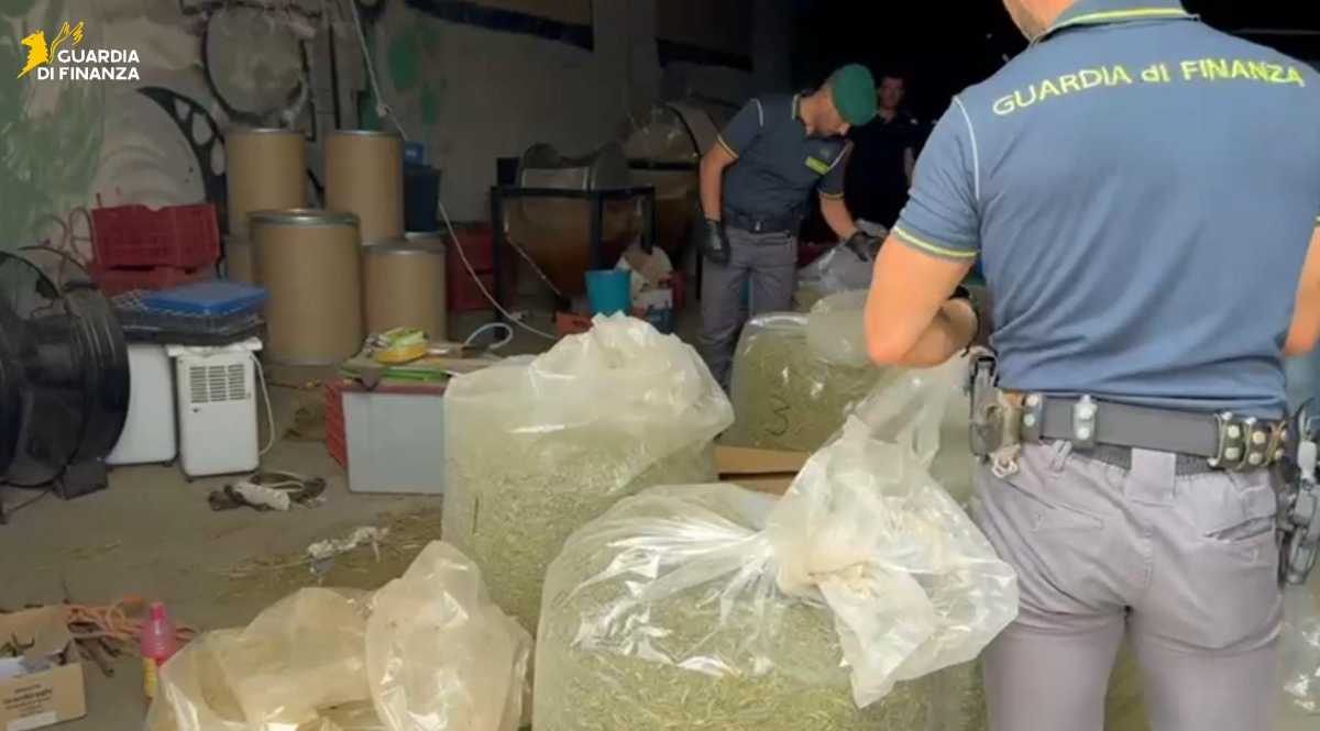 sequestro-ss-marijuana