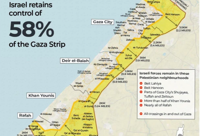 Yellowlinegaza yellowlinegaza