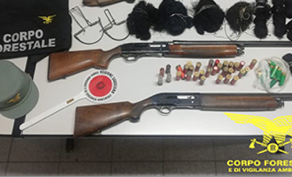 ARMI VILAL SAN PIETRO ARMI-VILAL-SAN-PIETRO