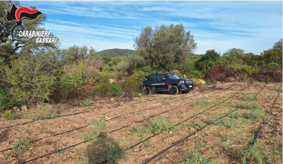 carabinieri-cc-loiri-porto-san-paolo