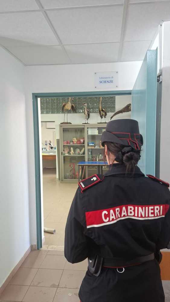 WhatsApp-Image-2025-12-10-at-142106