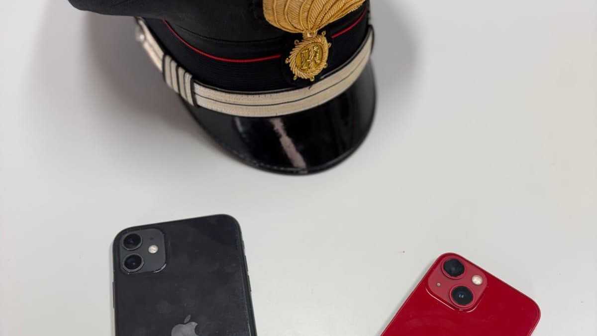 WhatsApp-Image-2025-12-31-at-140100