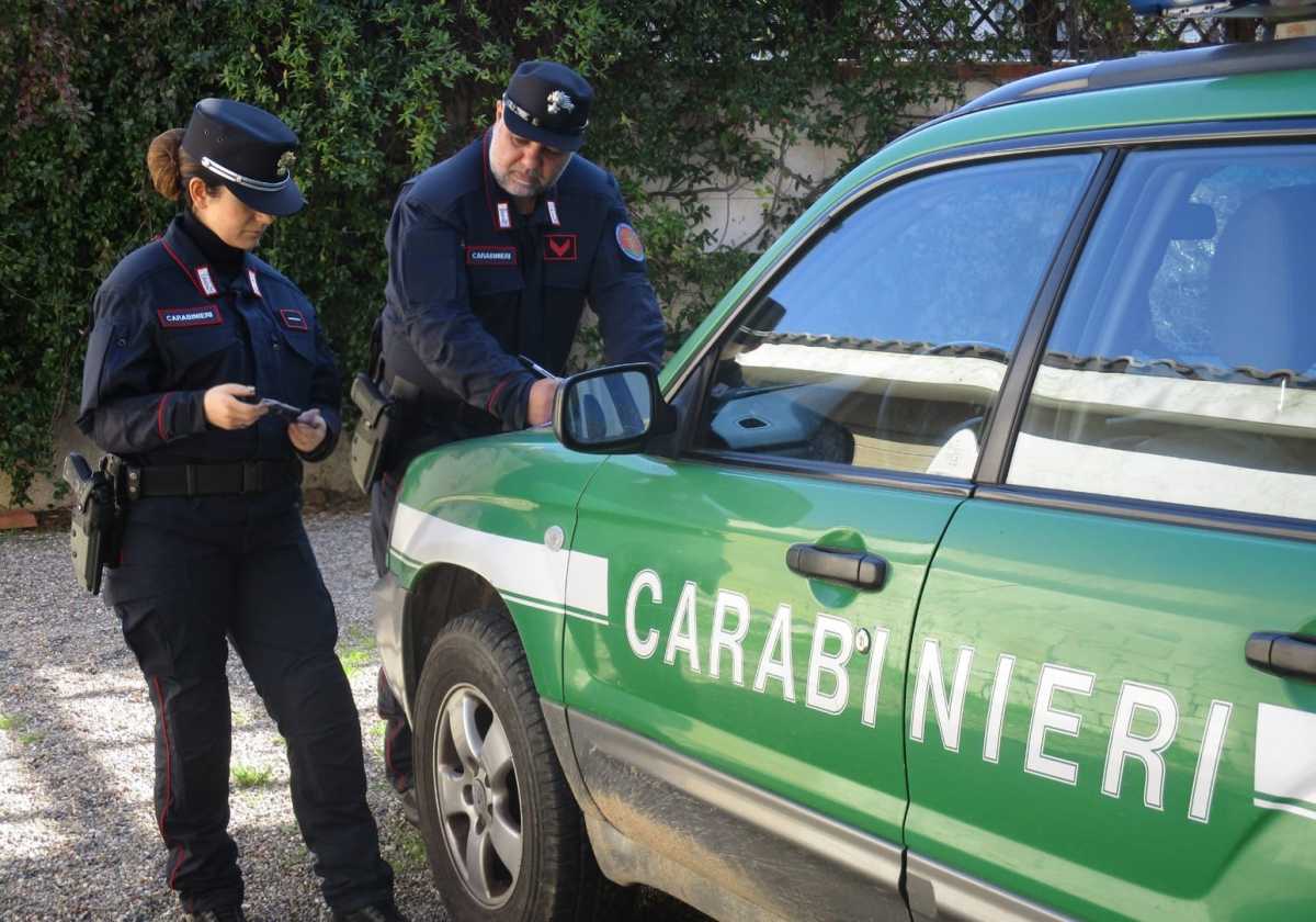 carabinieri-forestali-youtg